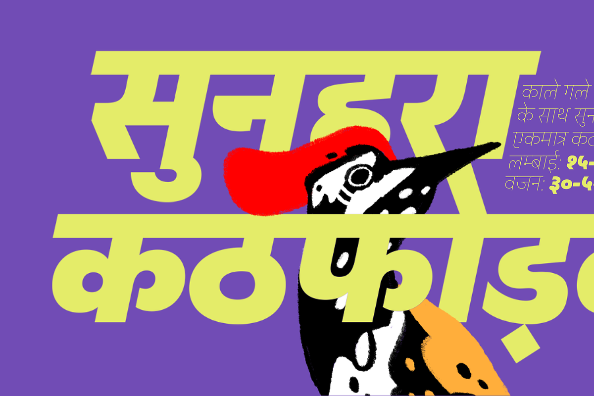 Peridot Devanagari, a Sans Serif Font by Foundry5 (Photo 9 of 10)