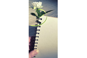 Spiral-bound notebook with blank, a Photo by tilialucida