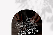 Beautiful HALLOWEEN SVG AI PNG, an Education Illustration by Beigetime (Thumbnail 8 of 11)