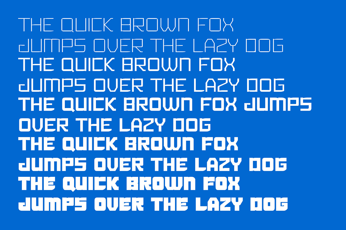 Wisfox, a Symbol Font by Ditatype (Photo 10 of 16)