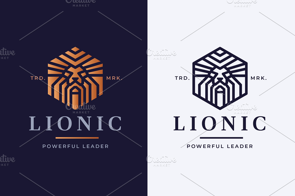 Lionic Lion Head Logo, a Branding & Logo Template by Design_Planet (Photo 1 of 7)