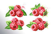Summer Raspberries. Watercolor set, a Food Illustration by Daria Ustiugova (Thumbnail 2 of 26)