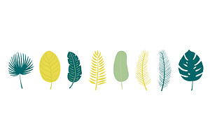 Palm tree, tropical leaves, an Object Illustration by sceptical cactus