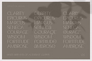 Claro - Elegant Font Family, a Sans Serif Font by AndrewPixelType (Thumbnail 5 of 14)