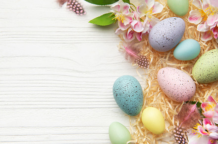 Easter eggs and spring flowers creating a frame on white wooden, a Holiday Photo by Olena Rudo