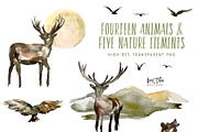 The Great Wilderness Watercolor Set, an Animal Illustration by Kim Thoa Designs (Thumbnail 5 of 8)
