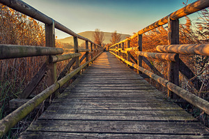 Little wood bridge over the lake