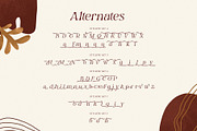 Mahony Browns Typeface, a Serif Font by alit design (Thumbnail 11 of 15)