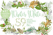 BUNDLE WHITE FLOWERS-85%, an Illustration by watercolorwild.graphics (Thumbnail 7 of 12)