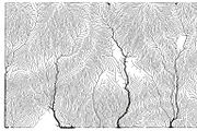 Growth - 50 Backgrounds, a Texture Graphic by GarryKillian (Thumbnail 40 of 51)