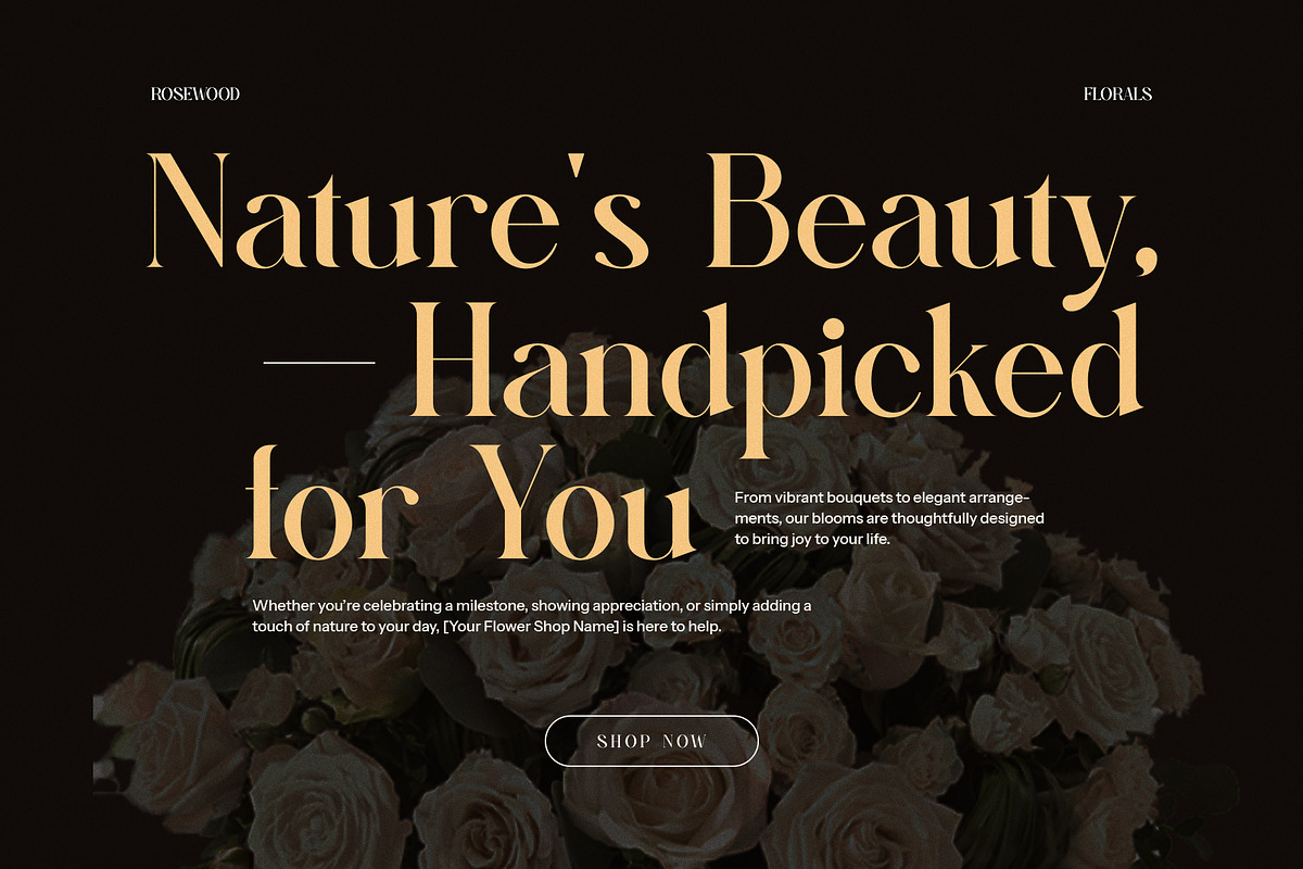 Bager Newton Elegant Serif Font, a Serif Font by Graphicxell (Photo 6 of 8)