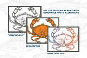 Seafood Illustrations, a Food Illustration by PicByKate (Thumbnail 4 of 5)