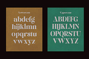 Pronela (Serif Family Typeface), a Font by Fontastic (Thumbnail 15 of 15)