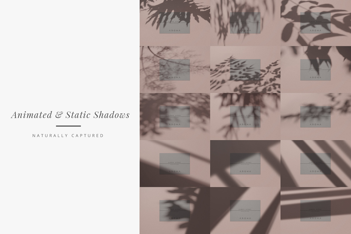 Aroha - Animated Shadows & Mockups, a Product Mockup by The Iconic (Photo 7 of 10)