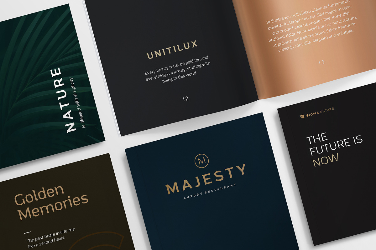 Mainlux Font, a Sans Serif Font by Digitype Studio (Photo 8 of 10)