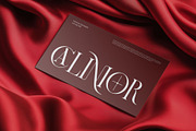 Lenior || Modern Classy Serif Font, a Serif Font by Ermedia Studio (Thumbnail 5 of 10)