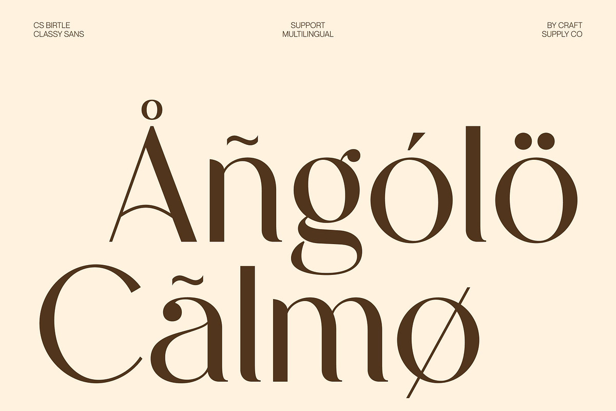 CS Birtle – Classy Sans Serif, a Sans Serif Font by Craft Supply Co. (Photo 7 of 8)