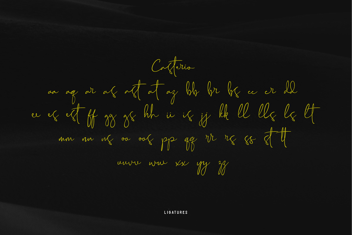 Casterio-Signature font, a Script Font by Panatype™ Studio (Photo 6 of 9)