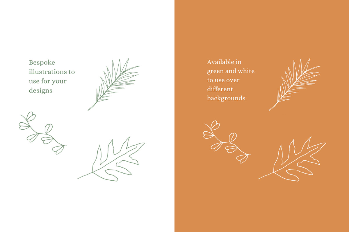 Botanical Brand Kit Logo Template, a Branding & Logo Template by CreativeWilderness (Photo 5 of 10)