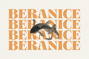 Mellora - Display Serif, a Serif Font by Fargun Studio (Thumbnail 10 of 24)