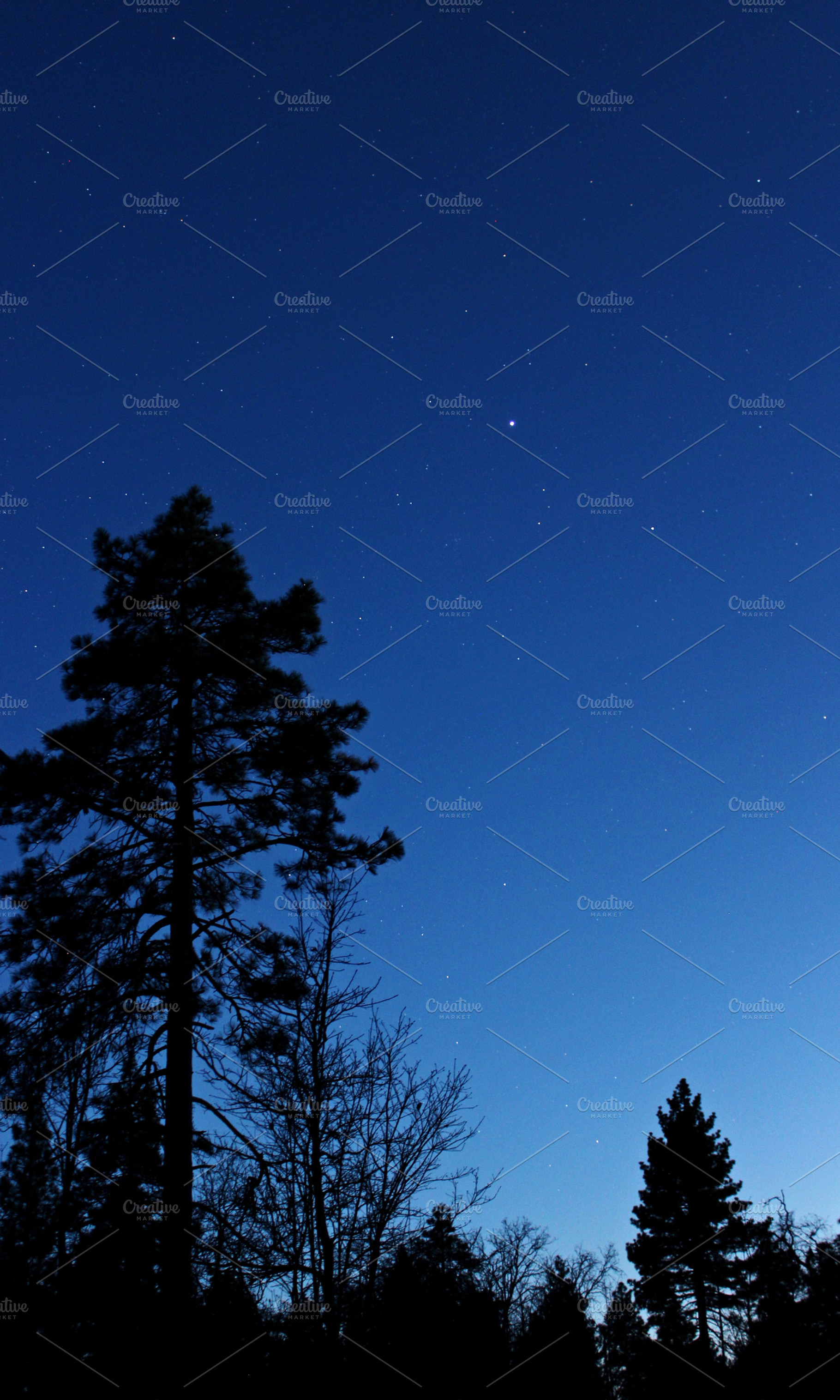 Stars at Dusk, a Nature Photo by Erica Patstone
