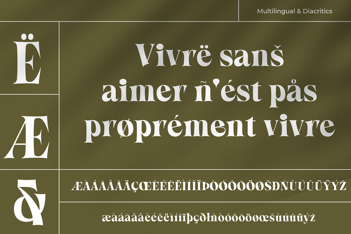 Callgest Display Font - 3 Styles, a Serif Font by Martype Co (Photo 10 of 14)