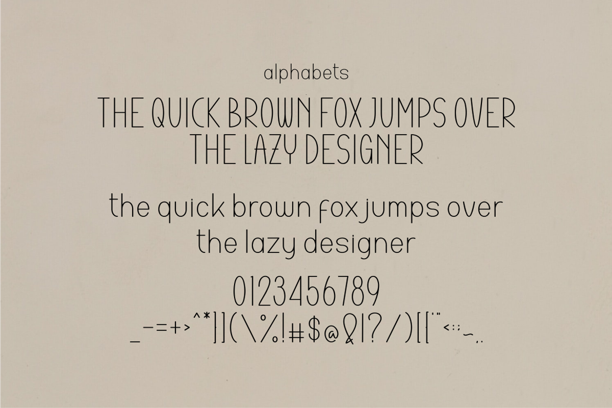 Charlie Swift Font, a Sans Serif Font by ponuppo (Photo 2 of 5)