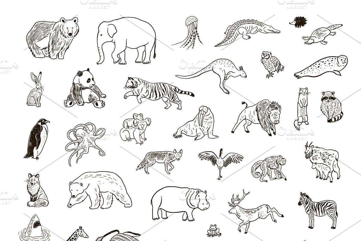 Animals World Map, an Animal Illustration by GooseFrol (Photo 8 of 28)