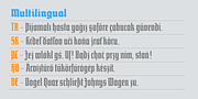 Vivala bl, a Blackletter Font by VivalaType (Thumbnail 7 of 7)