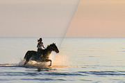 Lightroom Presets - Summer Bundle, an Action Add-On by PhotoMarket (Thumbnail 18 of 29)