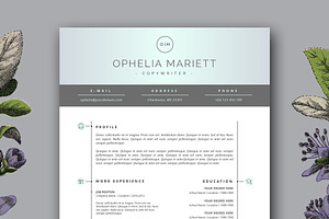 Modern Resume Template For MS Word