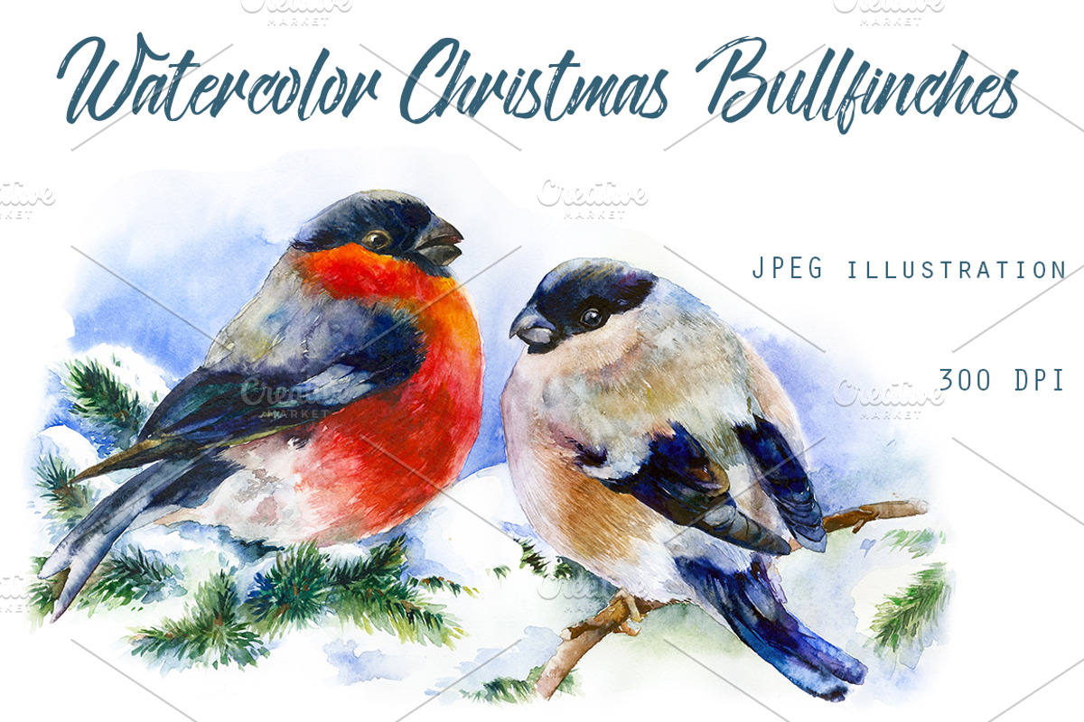 SALE! Christmas Bullfinches, a Decorative Illustration by MaryAmi (Photo 1 of 3)