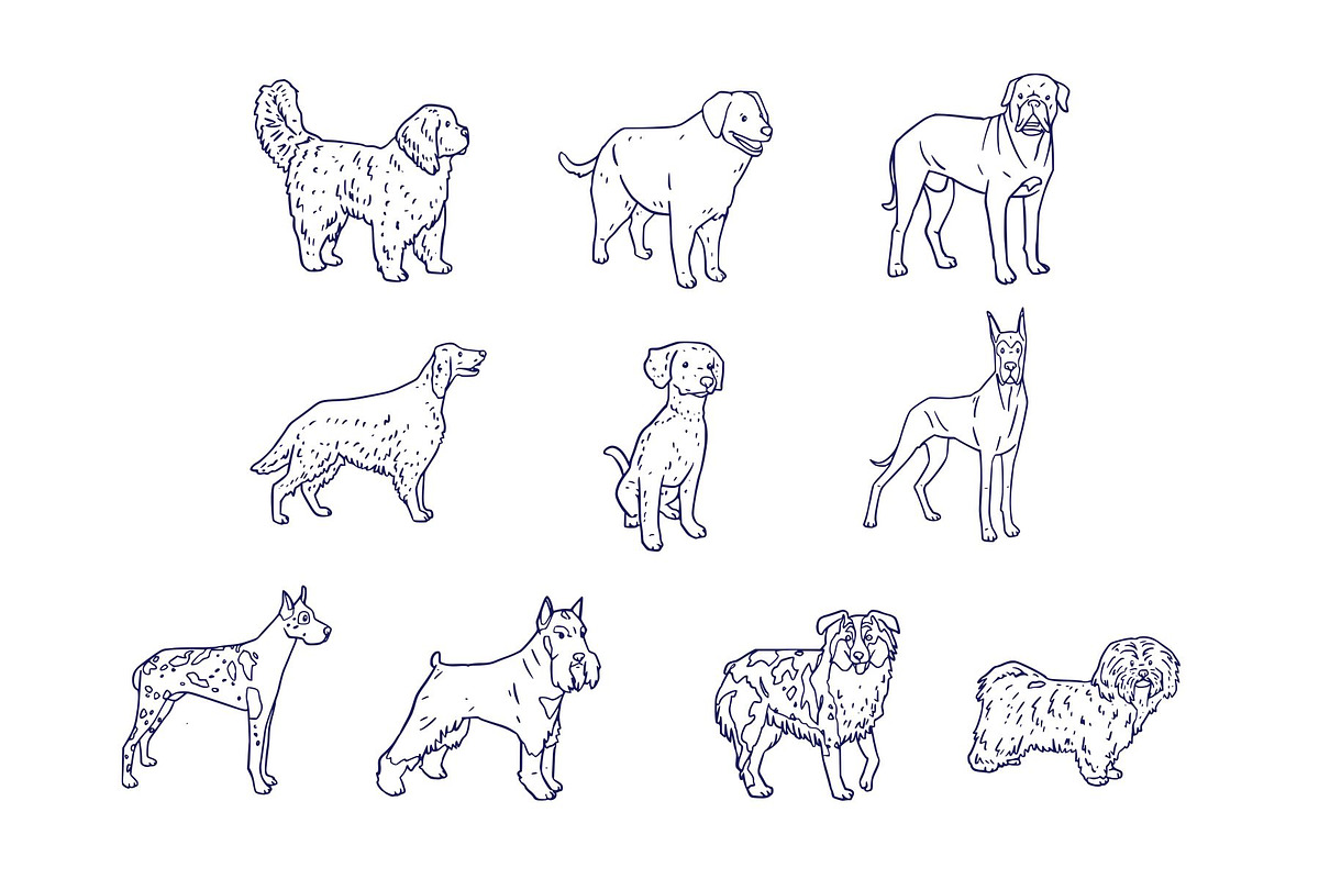 Breeds Dog Handdrawn Vol 2, an Animal Illustration by SLAB! Design (Photo 2 of 3)