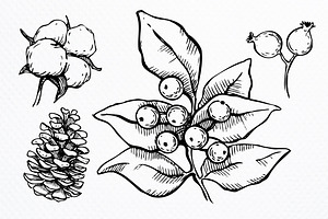 Hand Drawn Christmas Plants.