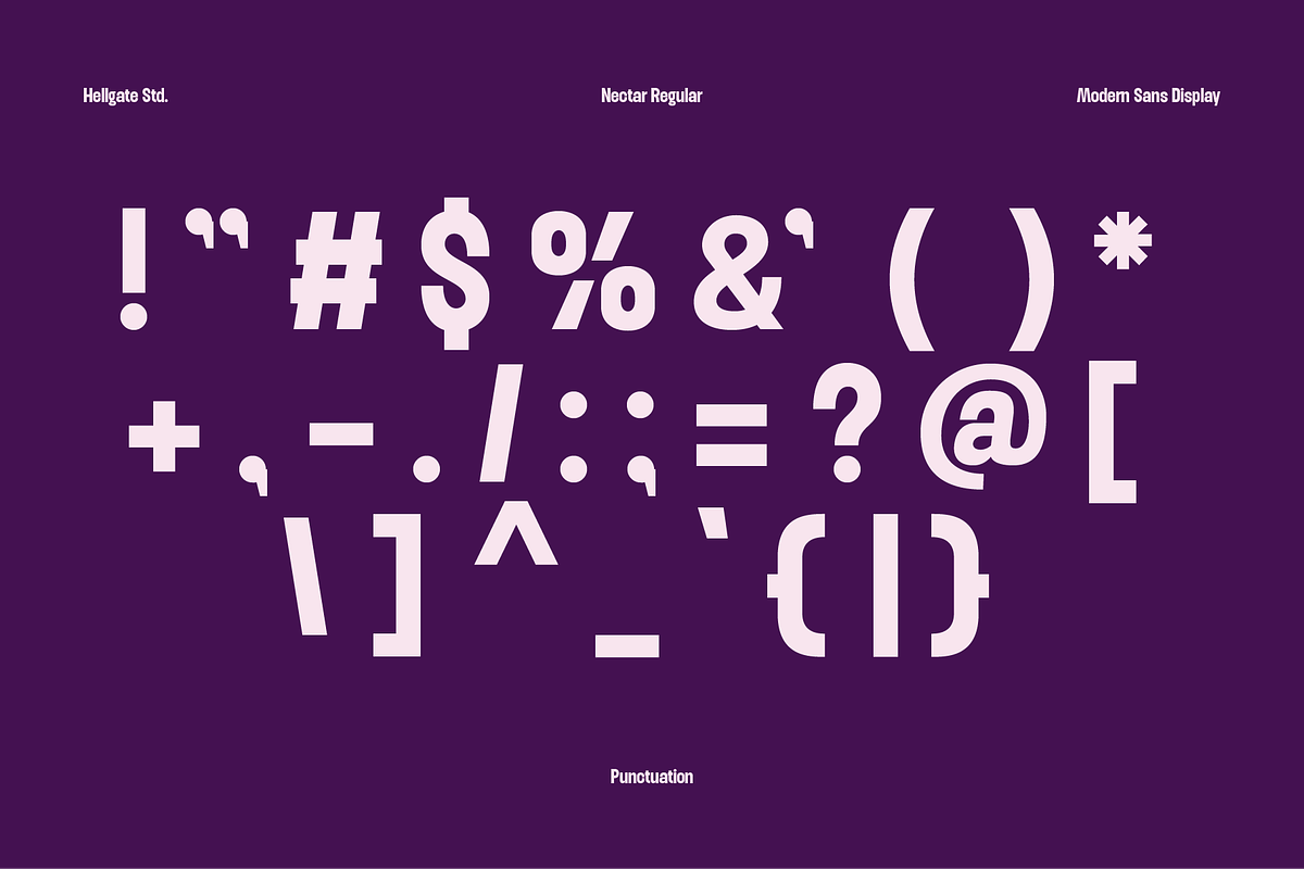 Nectar Modern Sans, a Sans Serif Font by GRVS Studio (Photo 6 of 7)