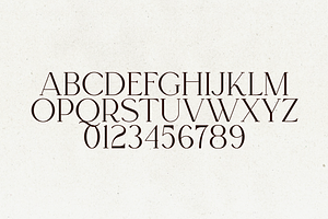 Regal - Elegant Serif Font