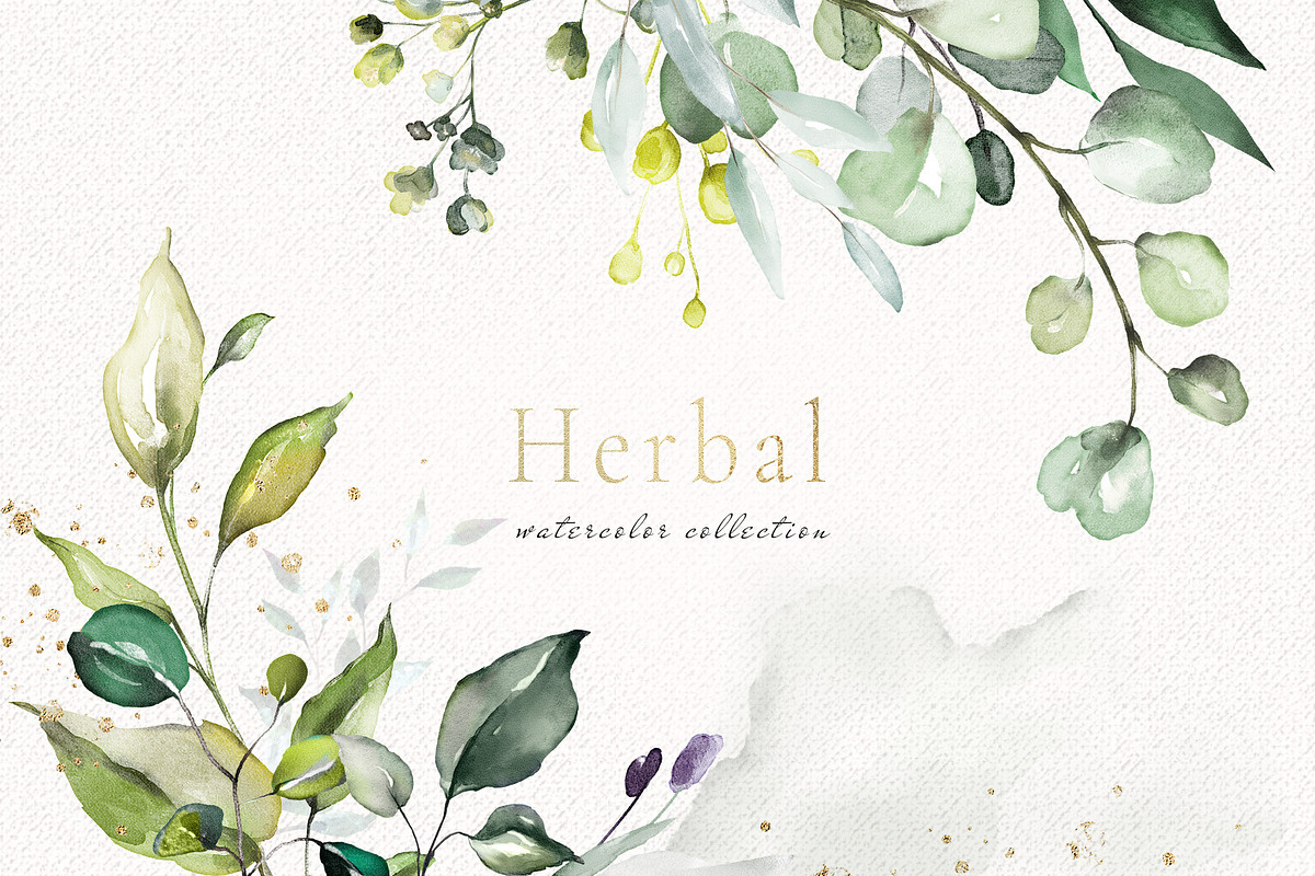 Herbal Watercolor collection, a Work Illustration by Lisima (Photo 1 of 14)