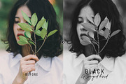 Black Winged Bird Photoshop Action, an Action Add-On by FilterAtelier (Thumbnail 5 of 7)