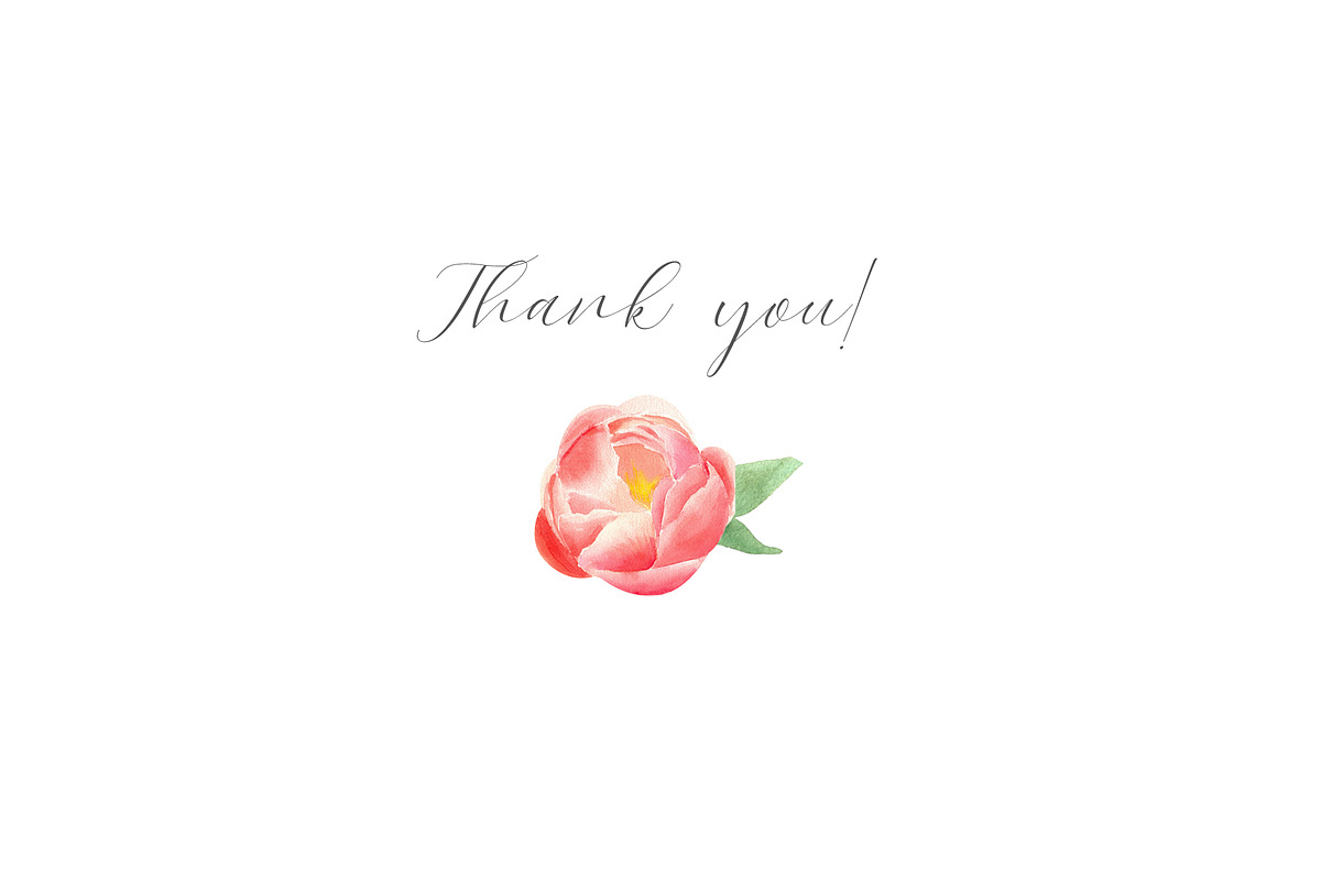 Watercolor peonies, an Object Graphic by Anastasia Timosch (Photo 9 of 9)