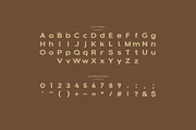 Ackoly - Modern Display Typeface, a Font by Letterna (Thumbnail 3 of 4)