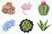 Watercolor Succulent Clipart, an Illustration by Creative Art (Thumbnail 9 of 10)