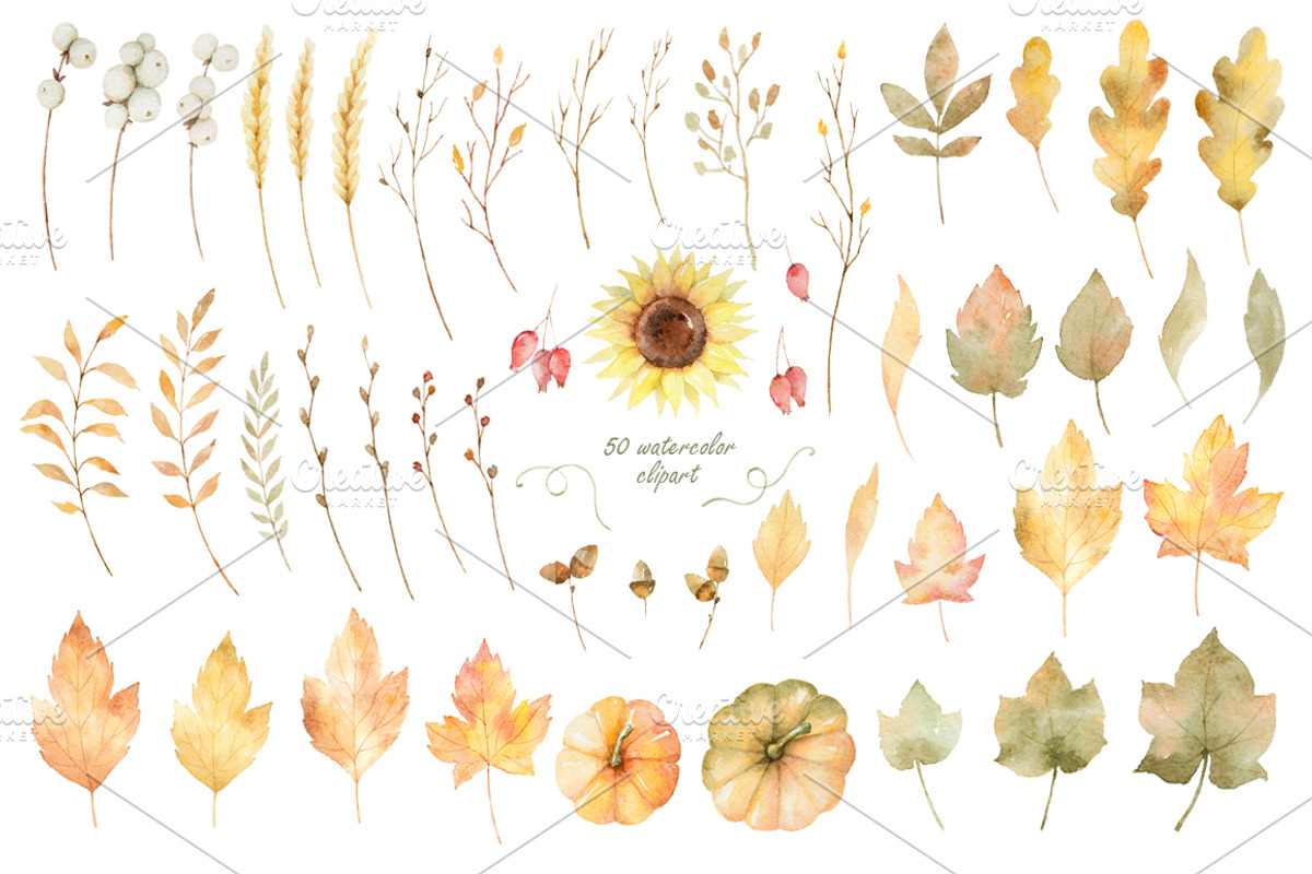 Autumn watercolor collection., a Decorative Illustration by Elena Medvedeva (Photo 6 of 7)