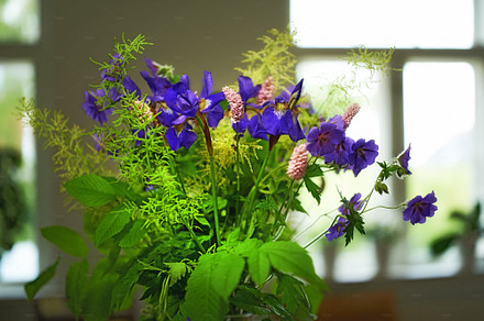 My garden, a Photo by Peopleimages.com