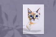 Watercolor cats clipart, an Animal Illustration by NataliMiasStore (Thumbnail 4 of 6)