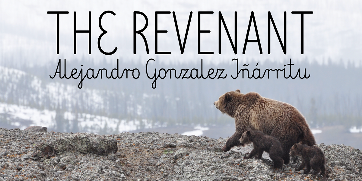 Elementarz, a Handwritten Font by GRIN3 (Nowak) (Photo 5 of 7)