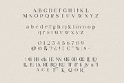 Cotton Kindly - Modern Serif Font, a Serif Font by ClevUs (Thumbnail 11 of 12)