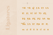 Darker Sans Serif + Extras, a Sans Serif Font by 1871 Project (Thumbnail 9 of 12)