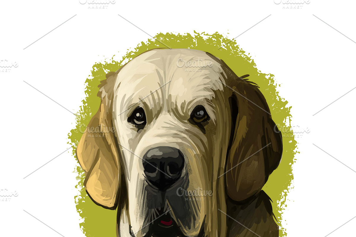 Mastiffs and Pugs 34 PSD Dogs Set, an Animal Illustration by Dneprstock (Photo 2 of 15)