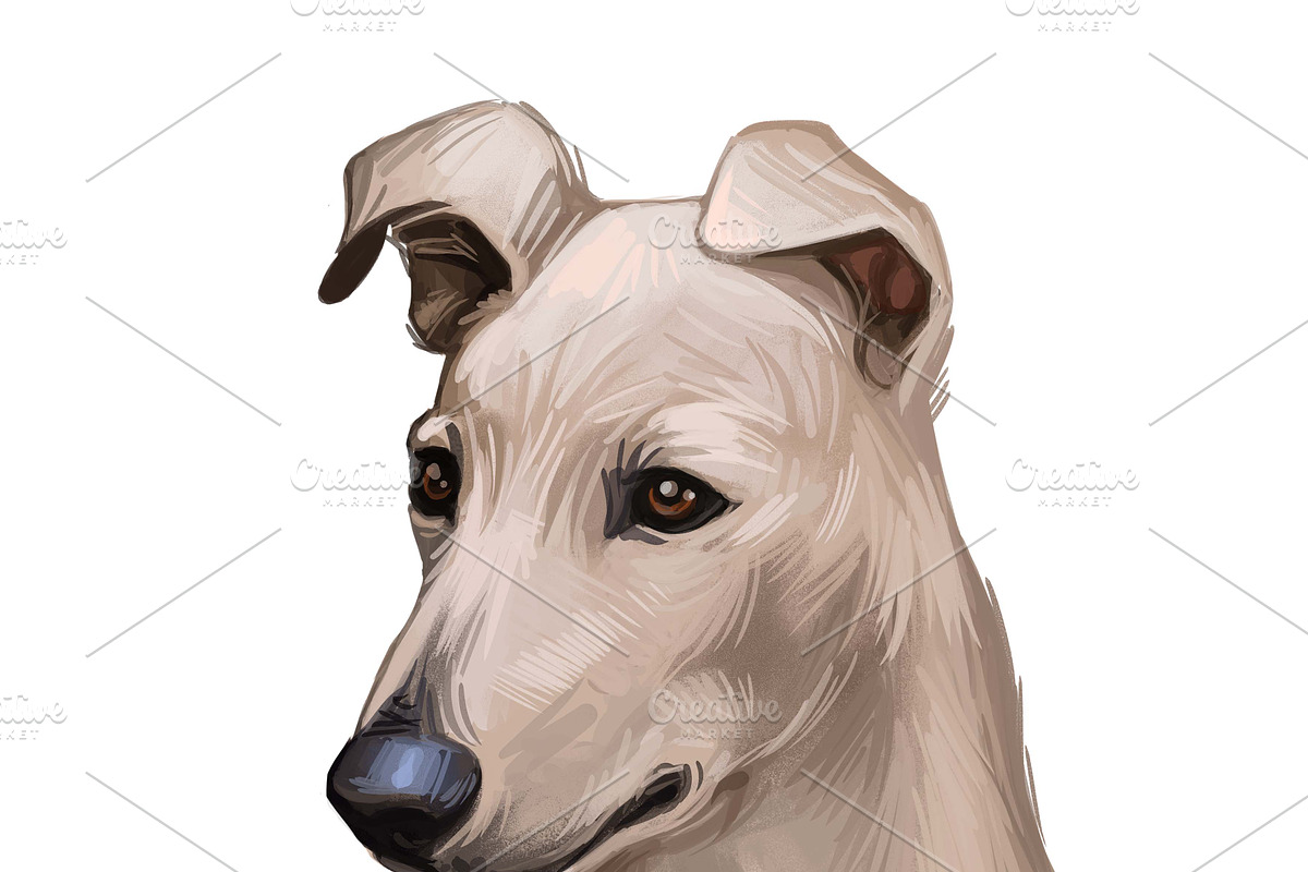 Dogs Cross Breeds 56 Animals Bundle, an Animal Illustration by Dneprstock (Photo 27 of 55)