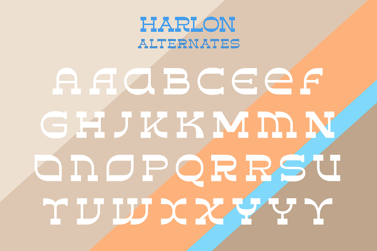 Harlon, a Slab Serif Font by Larin Type Co. (Photo 11 of 11)